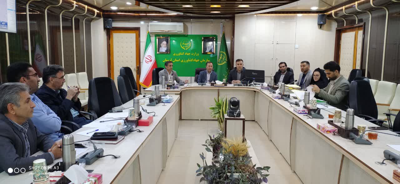 بررسی ۱۱ پرونده در کمیسیون واگذاری هیات نظارت ماده ۳۳ امور اراضی استان لرستان