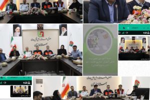 اجرای ۳۰ کیلومتر روکش آسفالت در محورهای مواصلاتی لرستان